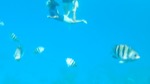 resIMG_20180716_095546_P7160930.JPG